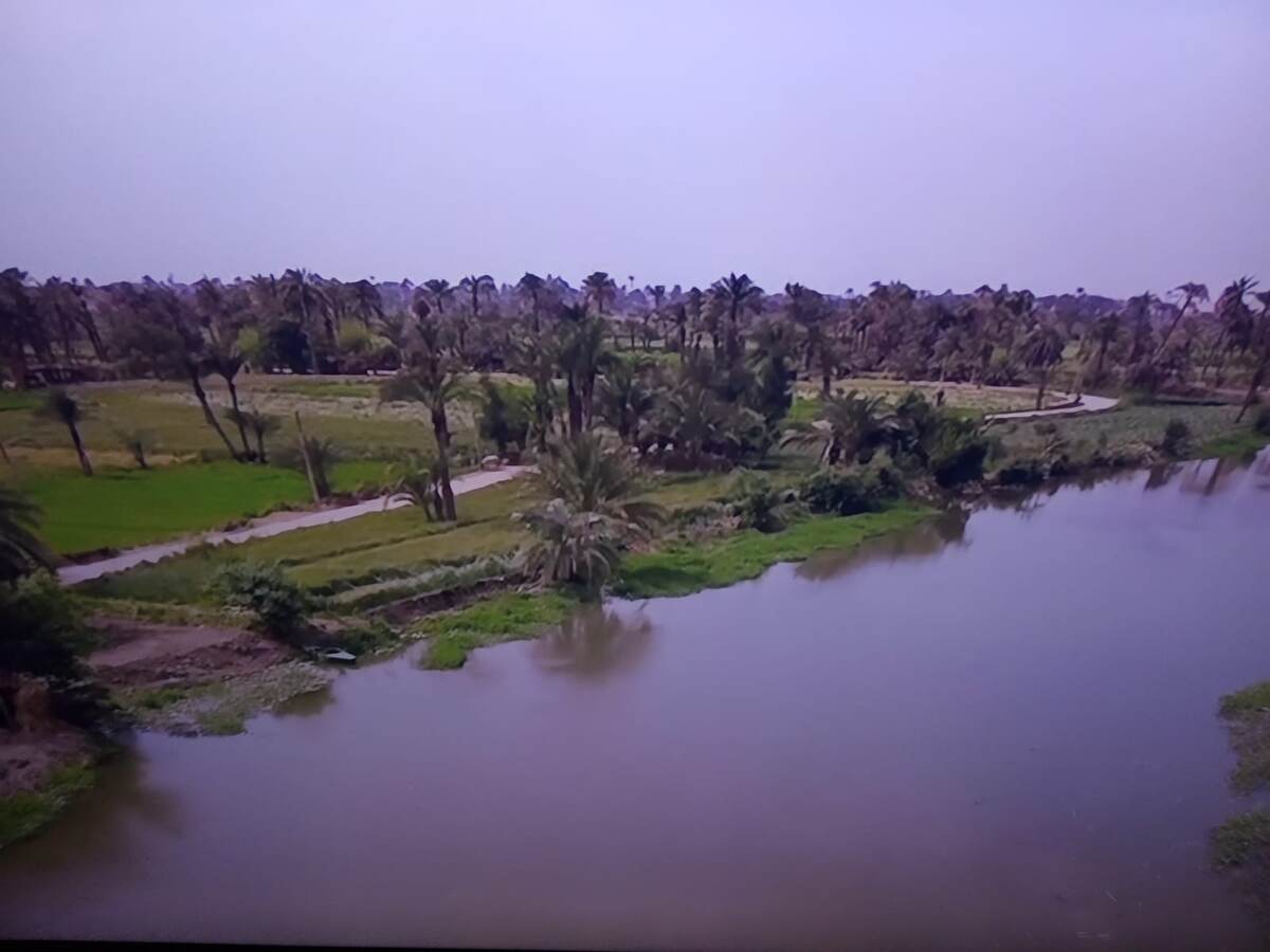 Картинка создана при помощи нейросети. 