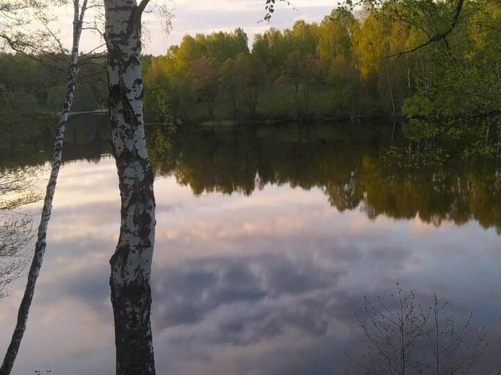 Как я провела 10 дней без телефона и интернета и что из этого вышло. Личный опыт.