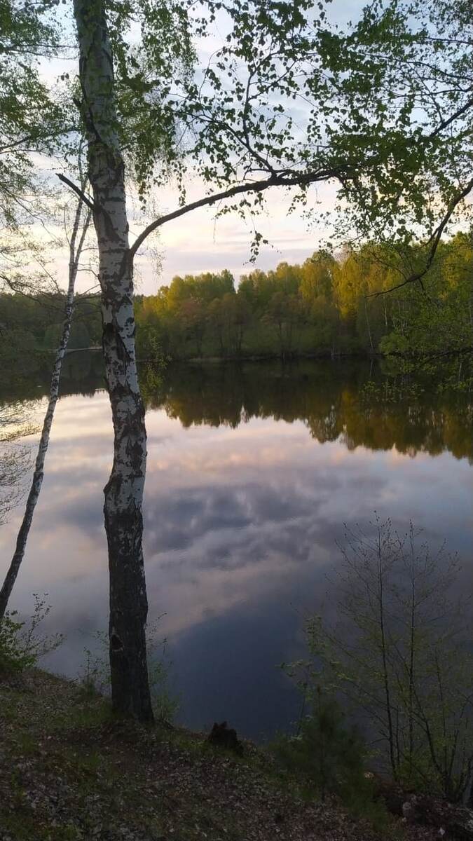 Вдали от шумного города.