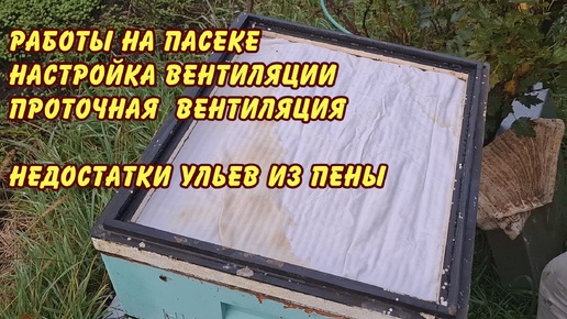 пчеловодство работы на пасеке настройка вентиляции проточная вентиляция недостатки ульев из пены