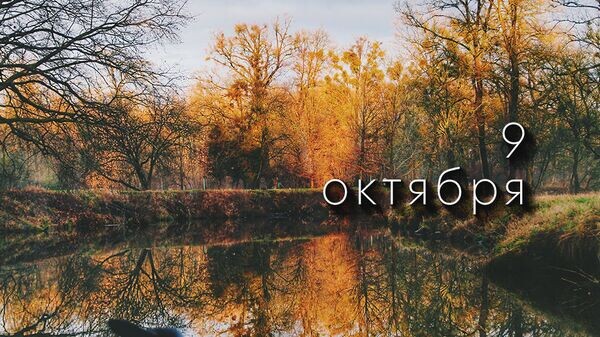    © Photo : Dominika Gregušová: Pexels