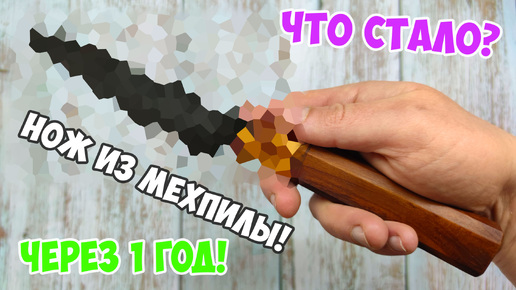 Нож из мехпилы Р6М5 через 1 ГОД! Что с ним стало?