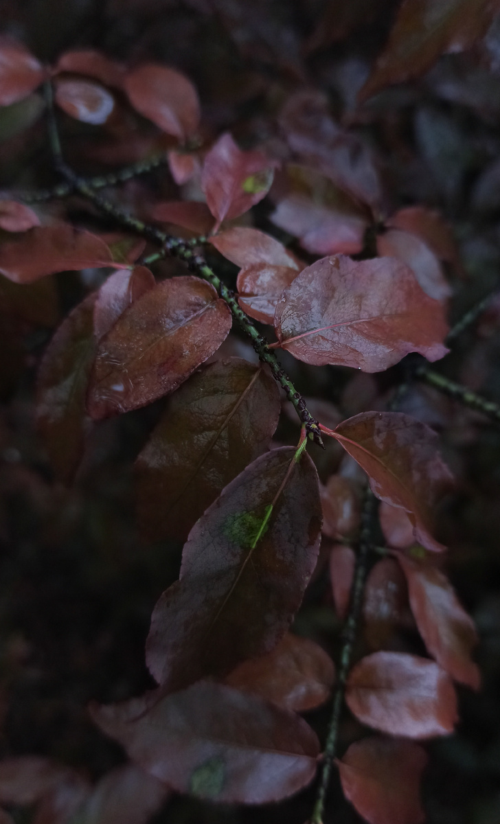 Конец сентября 2021 отсутствием осадков не страдал. Здесь и далее фото автора. 