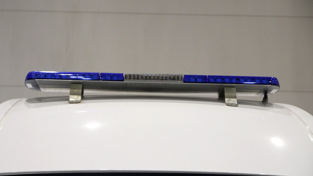    Maksim Konstantinov/Global Look Press