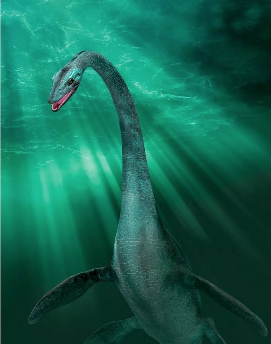 Согласно самой популярной гипотезе, Лох-Несское чудовище сродни плезиозаврам (на снимке). Shutterstock 
