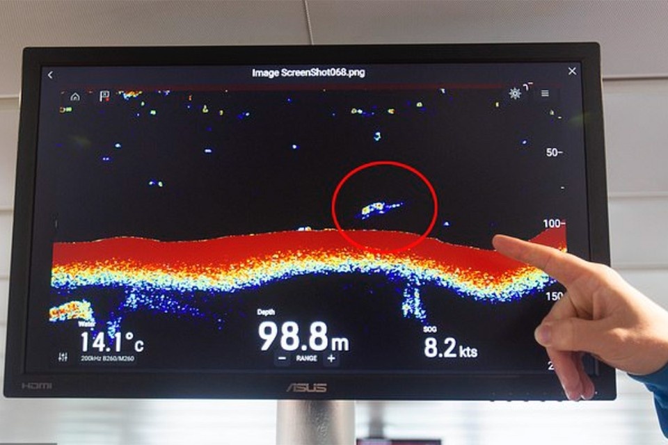 Объект на экране сонара напоминал плезиозавра: видны длинная шея и ласты. Кадр видео 