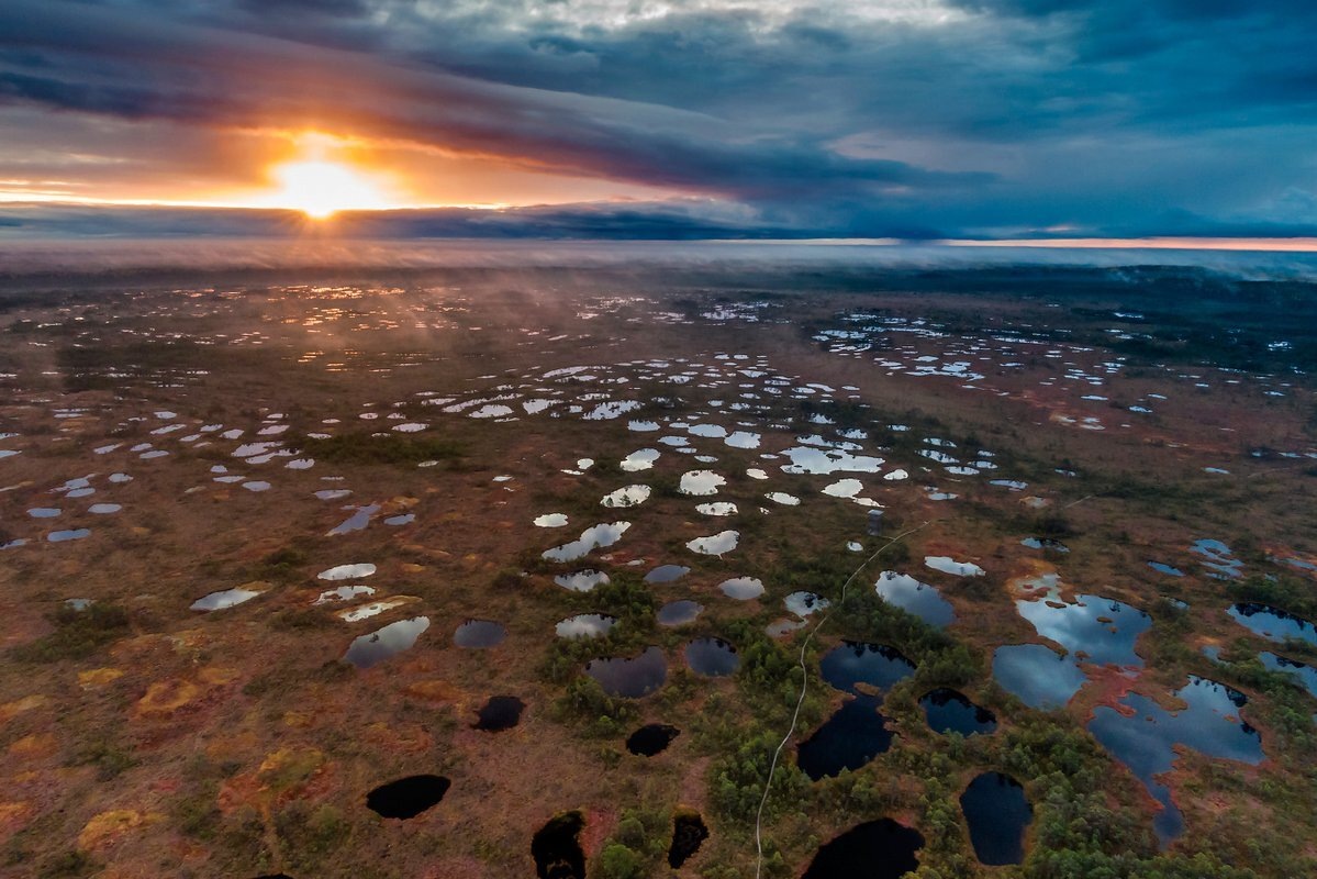 Васюганские болота. Россия. Фото взято из открытого источника.