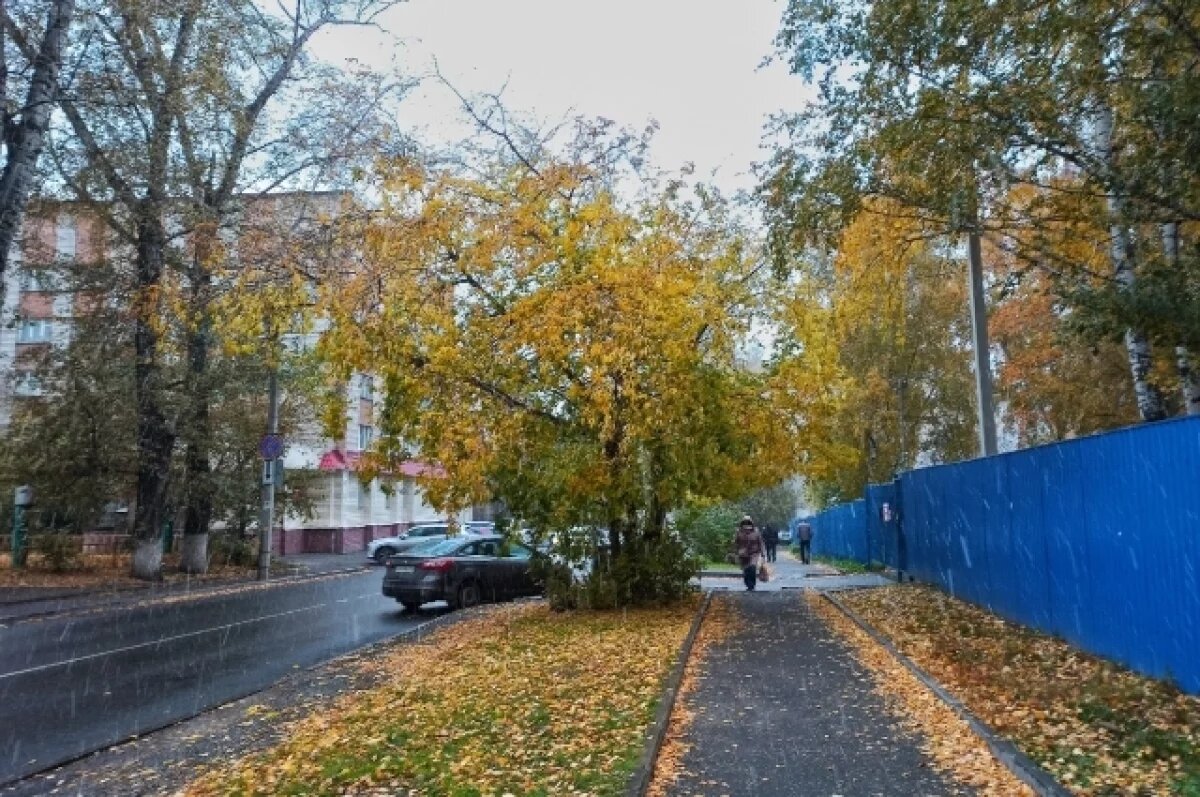    Небольшой дождь и +11 градусов ожидаются в Томске 9 октября