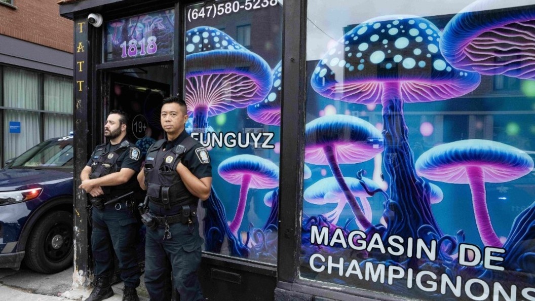    Ryan Remiorz/Keystone Press Agency/Globallookpress