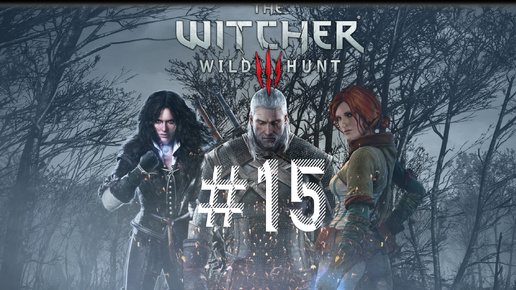 The Witcher 3: Wild Hunt. 15 стрим по игре Ведьмак 3: Дикая Охота