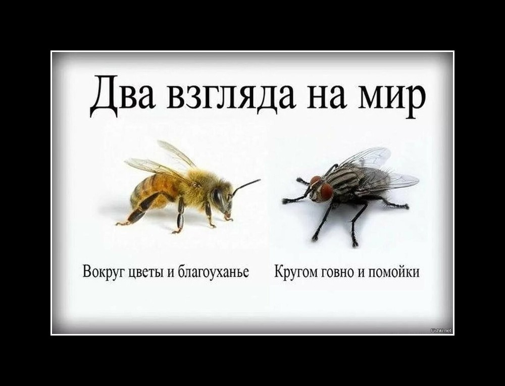...И КАЖДОМУ СВОЕ... А...