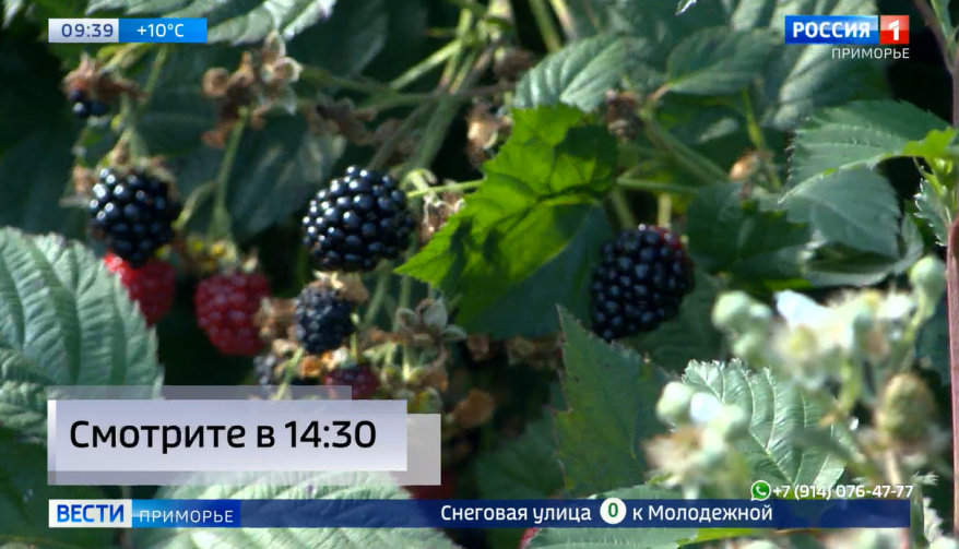    Источник фото:
