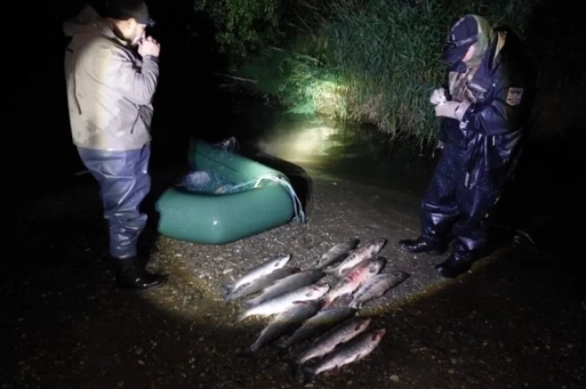    Рыбоохрана Камчатки выявила 1500 нарушений во время лососевого сезона