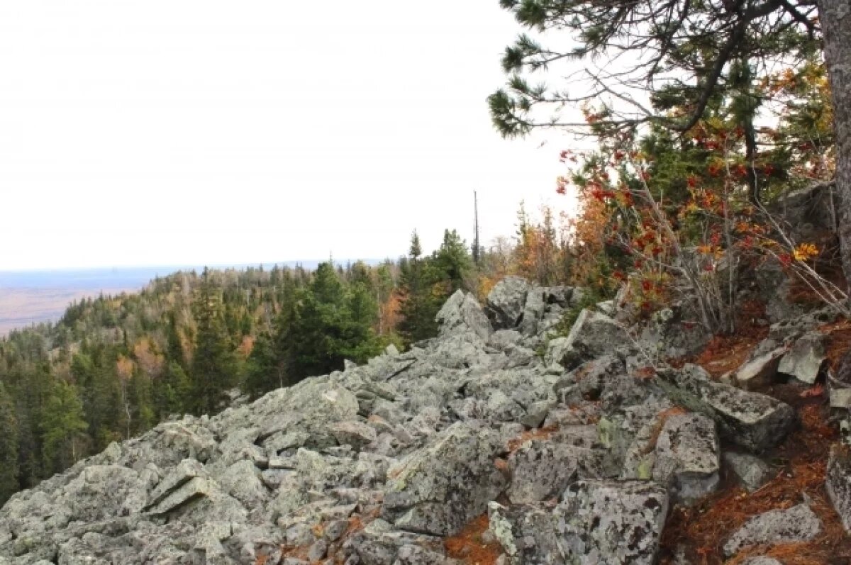    Почти летняя погода накроет Алтайский край 9 октября