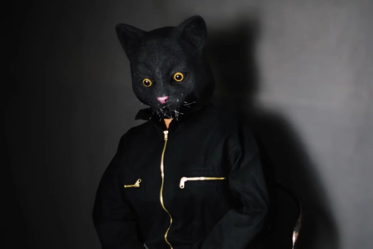    Песков оценил набирающее популярность движение квадроберов