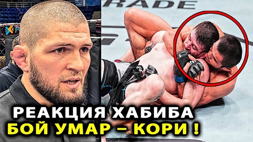 РЕАКЦИЯ Хабиба НА БОЙ Умар Нурмагомедов - Кори Сэндхаген / UFC AbuDhabi / Хабиб Шара Буллет Фергюсон