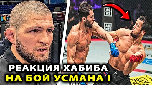 РЕАКЦИЯ Хабиба на БОЙ Усман Нурмагомедов - Александр Шаблий Bellator / Хабиб Умар Двалишвили Омэлли