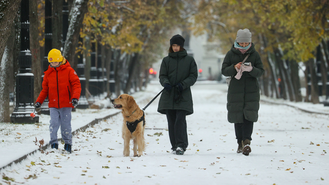    Bulkin Sergey/news.ru