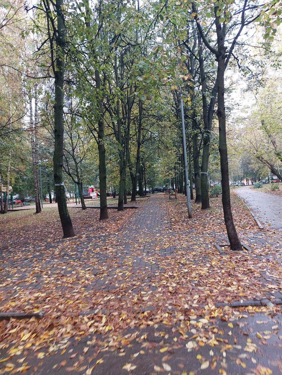 Наш московский дворик