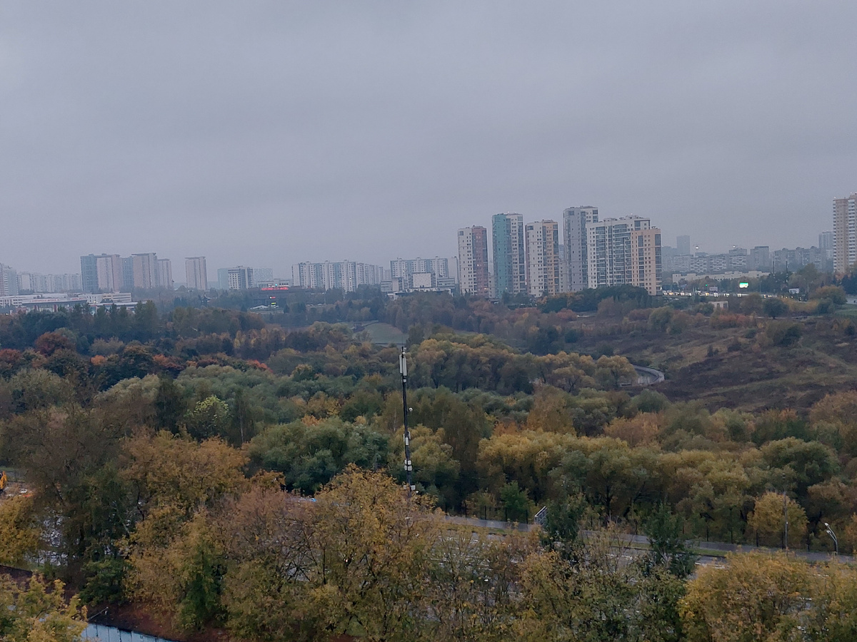 Смотрю из окна