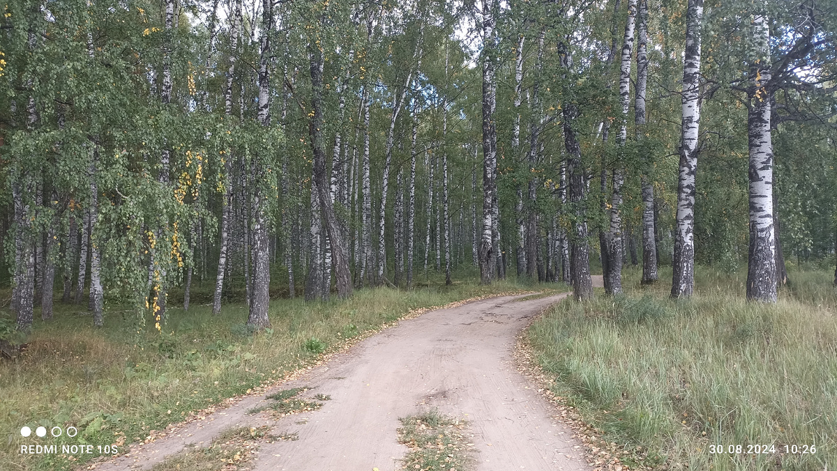 Солнце то появлялось, то скрывалось за тучами. Но дождя не было. Фото автора. 