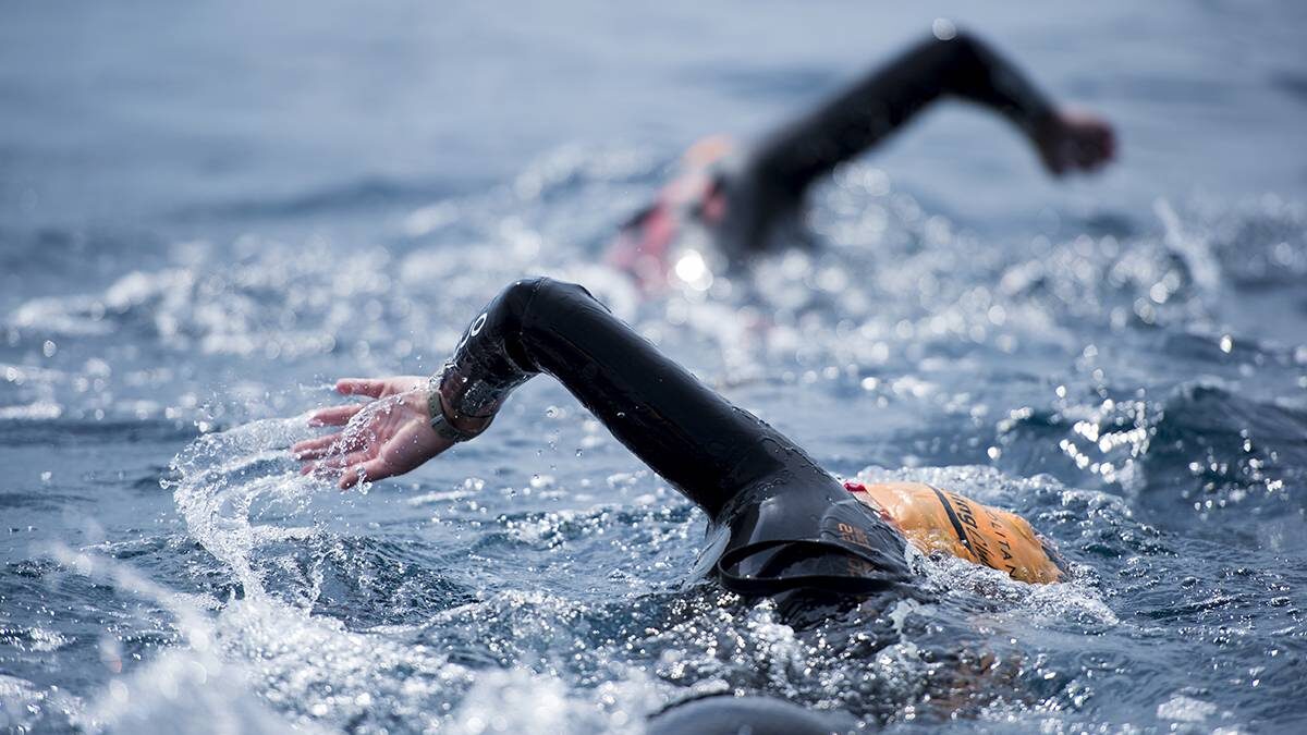    Фото: Shutterstock