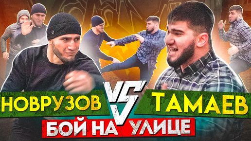 Тамаев vs Новрузов. Бой! Конфликт в студии