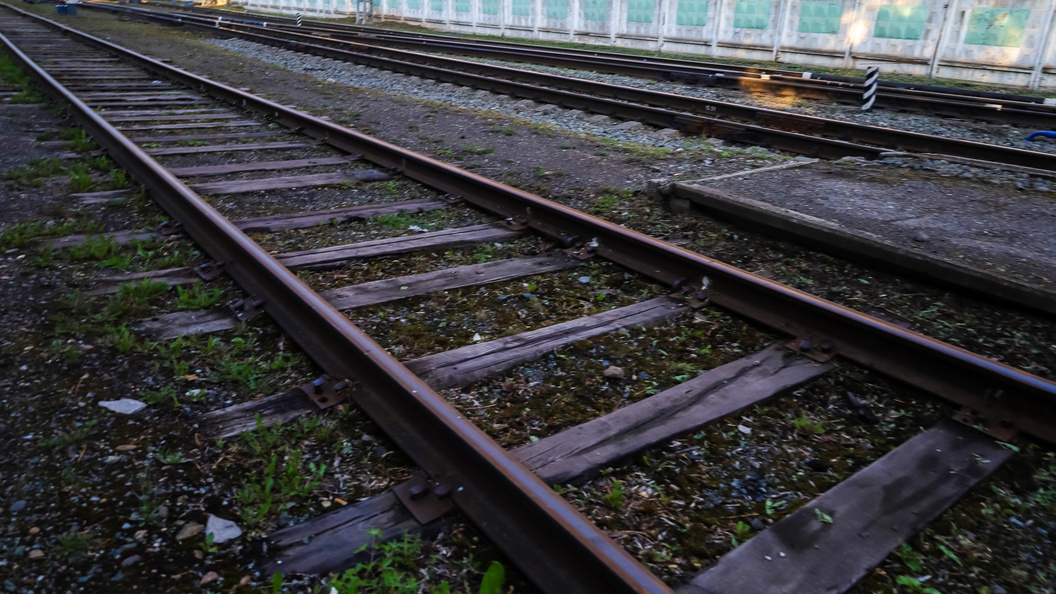    Фото: Elena Mayorova/Globallookpress