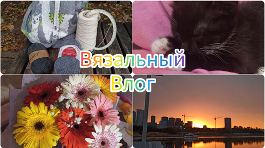 Вязовлог. Небольшая покупка пряжи, процессы, сменила имидж #вязание #влон #процессы #пряжа