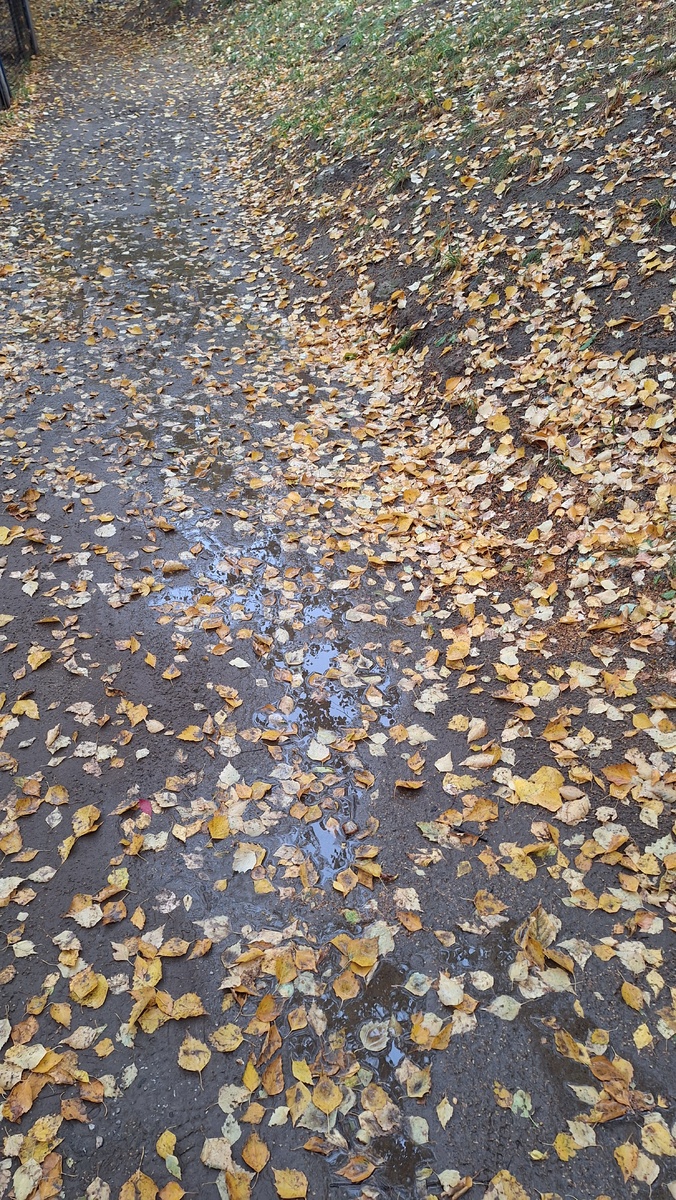 Вот такой октябрь