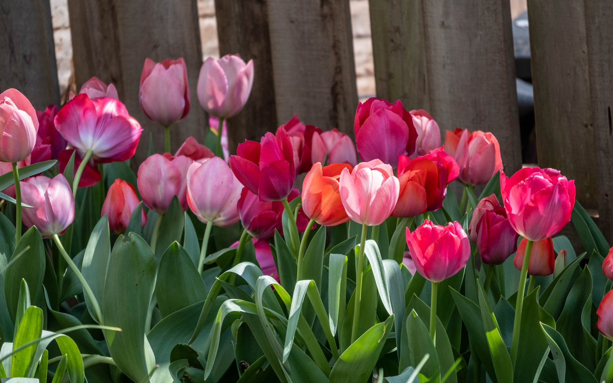 Фото из открытых источников