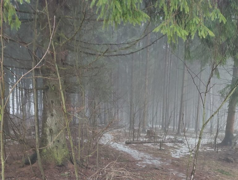    Фото: mosregion.info/ Оксана Герасимова Илья Мартов