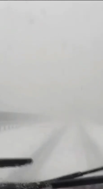    Фото: скриншот