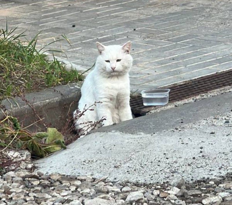    Фото: соцсети