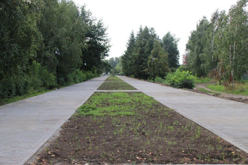    Парк "Победы" в Бийске. Источник: t.me/shchigrev_bsk