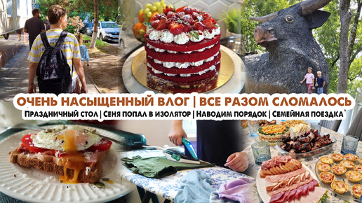 ВЛОГ ЗА НЕСКОЛЬКО ДНЕЙ😍ПРАЗДНИЧНЫЙ СТОЛ🍰ВСЕ СЛОМАЛОСЬ😥СЕНЯ ДОМА🏡НАВОЖУ ПОРЯДОК✔️СЕМЕЙНАЯ ПОЕЗДКА🐘