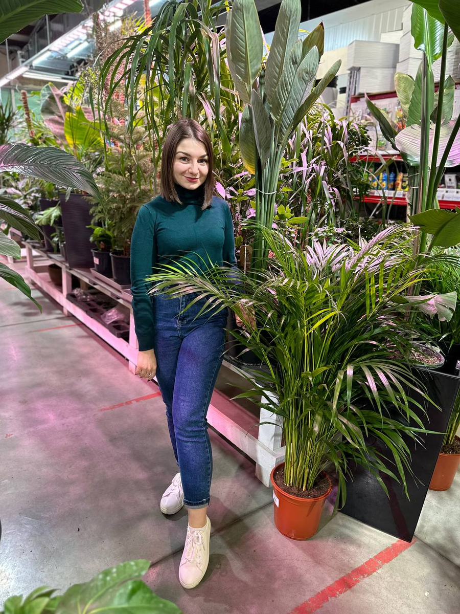 Магазин комнатных цветов "Neo Flora Plants Воронеж"