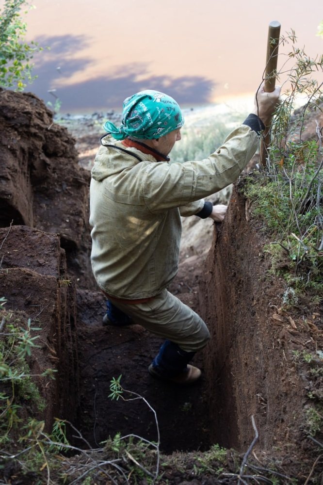    3,5 метра торфяника, или 10 тысяч лет истории