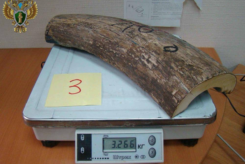    Источник фото: Дальневосточная транспортная прокуратура