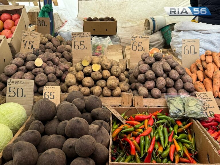    Берём овощ, варим борщ. Сколько стоят на рынке Оренбурга капуста со свёклой Андрей Севостьянов