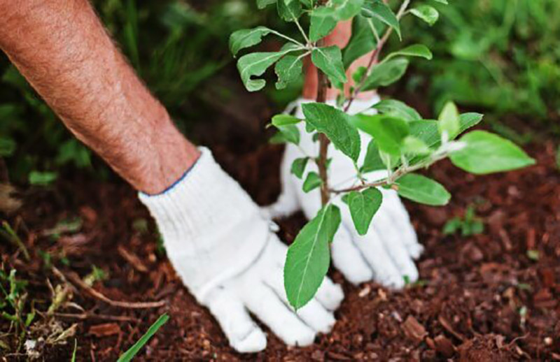 Фото: zviazda.by