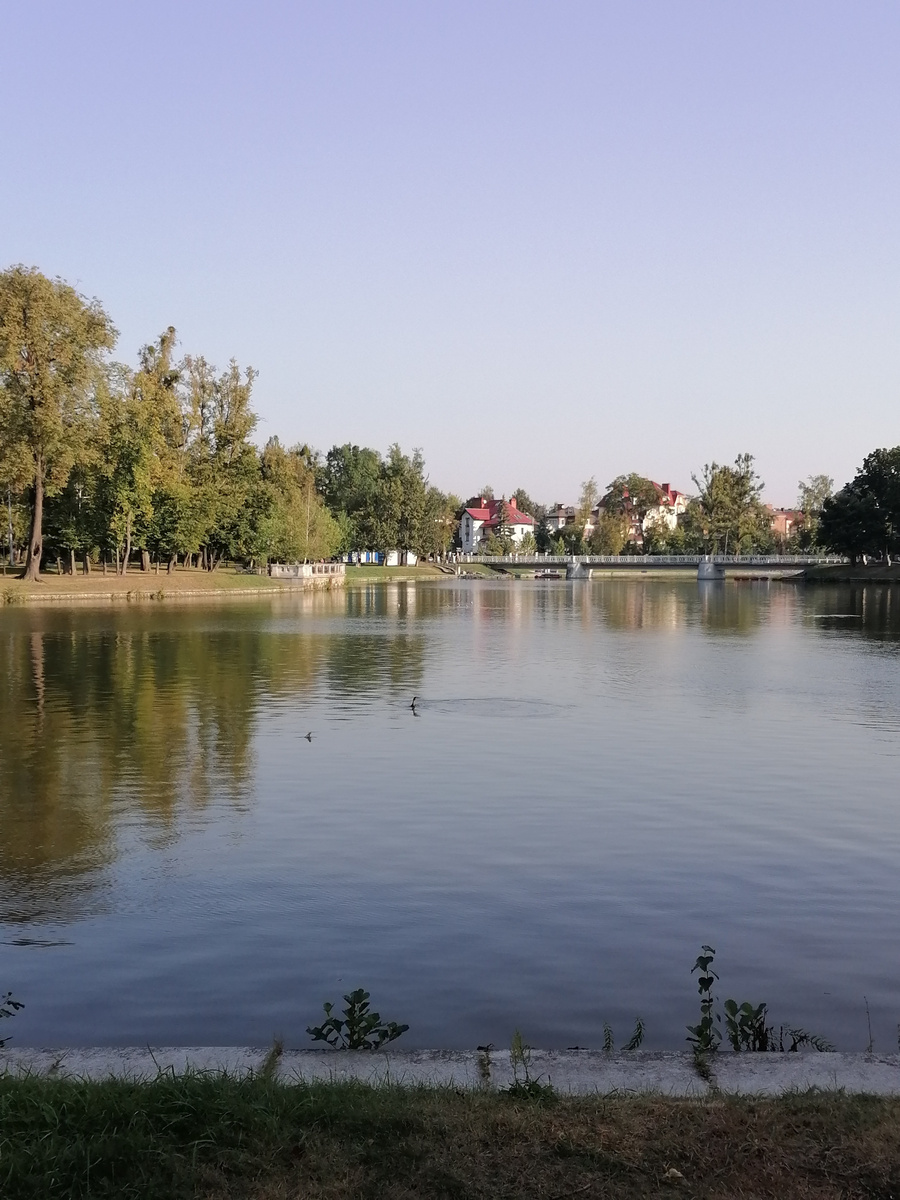 На Верхнем озере в Калининграде. Все фото автора. 
