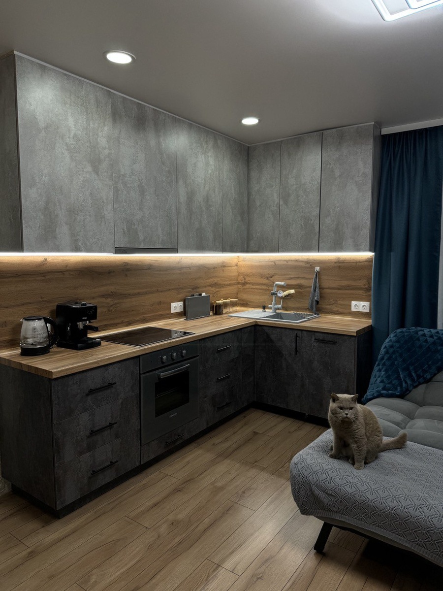 Без кота и жизнь не та :) Лексус - мальчик крупный, шотландский, кусачий :)