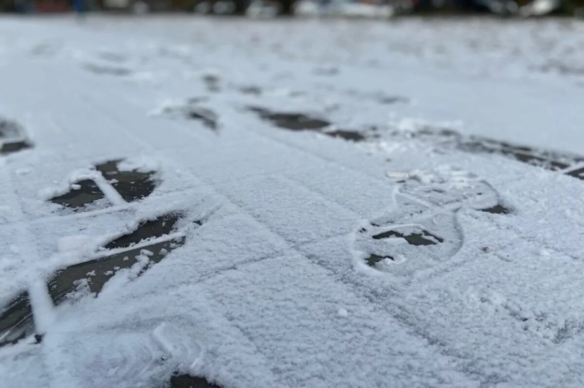    В Ярославле снегоплавильная установка появится только в конце зимы