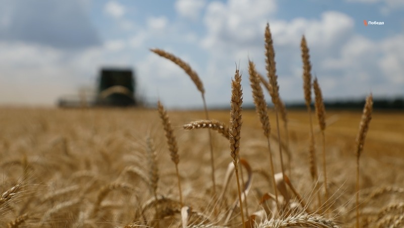    Одно из направлений проекта «Промтуризм» — агротуризм Фото: ИА «Победа26»