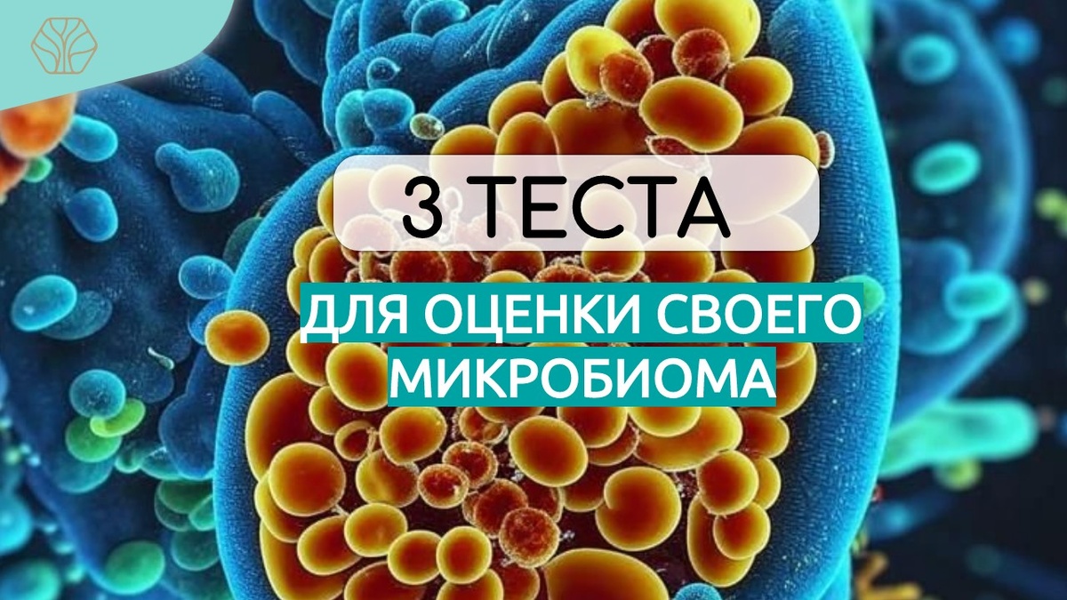 Чтобы не поддаваться манипуляциям со стороны бактерий и простейших, надо следить за состоянием своего кишечника.