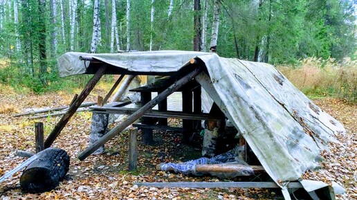 Взял в Тайгу Верную Спутницу,но она мне Планы Испортила.