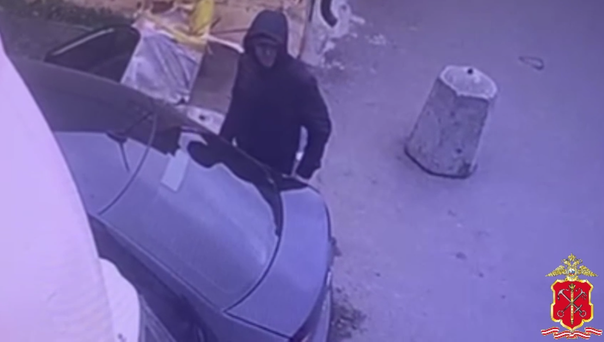 © ГУ МВД по Петербургу и Ленобласти