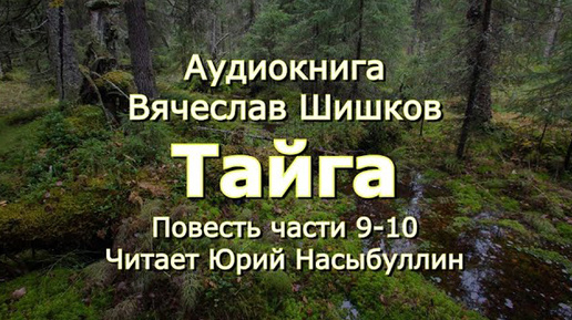 Аудиокнига В.Я.Шишков Повесть _Тайга_ Часть 9-10 от автора романа _Угрюм река_ Читает Ю.Насыбуллин. (1)