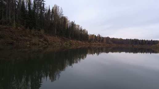 Осенний глубоководный твичинг в глухом коряжнике.